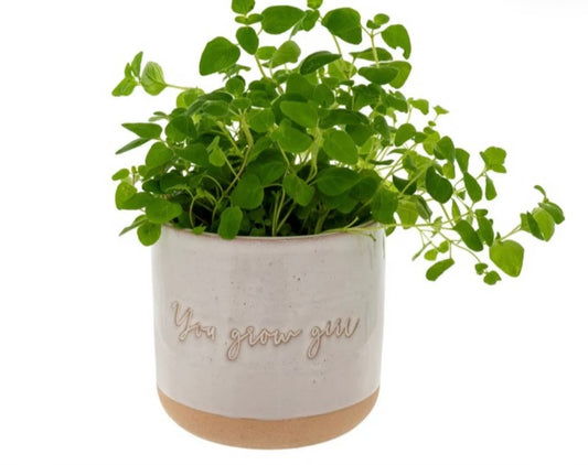 You Grow Girl Planter